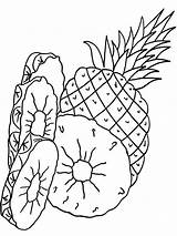 Coloring Pages Pineapple Fruits Printable Recommended Mycoloring sketch template