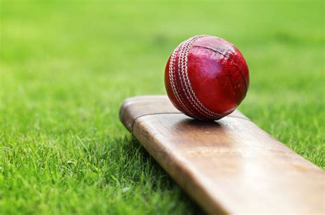 cricket deaths detailed   research news la trobe university