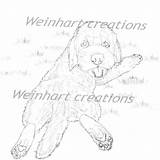 Goldendoodle Puppy sketch template