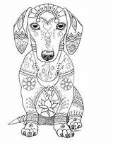 Coloring Mandalas Dachshund Chien Hund Perros Hunde Malvorlagen Munoz Deborah Zentangle Tegninger Poter Huellas Perritos Besuchen Fabuleux Templets Ausmalbild Ausmalen sketch template