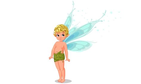 premium vector cute  boy fairy