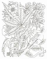 Coloring Pages Weed Adult Marijuana Stoner Printable Stencil Leaf Plant Books Drawing Hemp Print Color Pot Trippy Tattoo Jane Mary sketch template