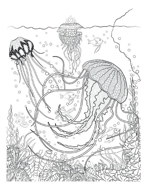 underwater coloring page images