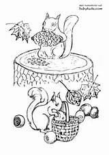 Ausmalbild Ausmalen Für Eichhörnchen Herbstbild Pilz Herbstlaub Babyduda Eichhoernchen Baum sketch template