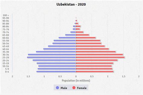 Uzbekistan Age Structure Demographics