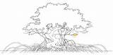 Drawing Mangrove Tree Sketch Mangroves Swamp Coloring Drawings Paintingvalley Sketches Template sketch template