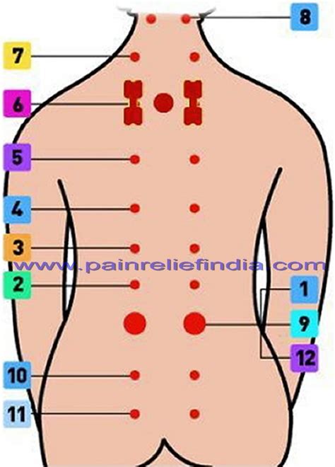 acupressure therapy points holistic health pinterest