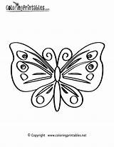 Coloring Butterfly Pages Printable Nature Adults Book Print Vintage Printables Mandala Colouring Patterns Thank Please Angel sketch template