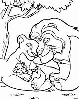 Lion Roi Kovu Kiara Gratuit Beau Coloringhome sketch template