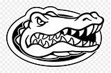 Gators Florida Logo Vector Gator Svg Football Transparent Silhouette Clipart Alligator Coloring Logos Clip  Freebie State University Getdrawings Comfortable sketch template