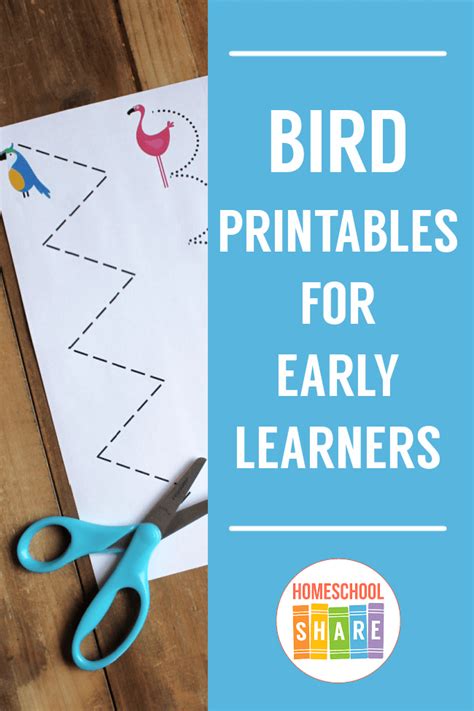bird theme printables early learning printables match  birds