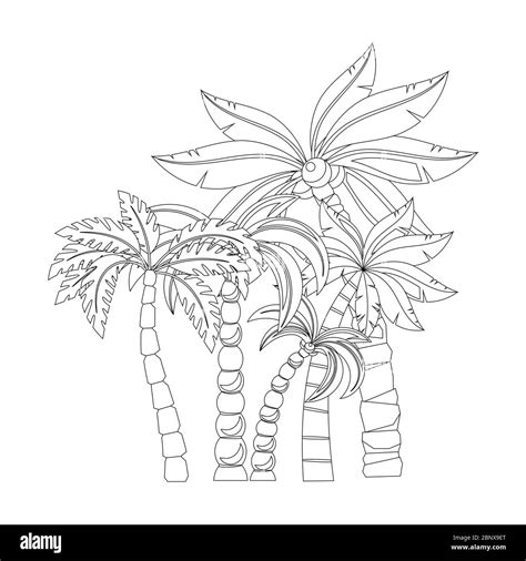 palm trees  coloring book pages design isolated  white background