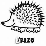 Erizo Erizos Imagenes Cuento Mascotas Domésticos Imprime sketch template