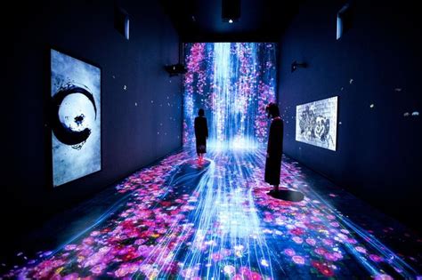 immersive exhibition  tokyos teamlab blends realities  media
