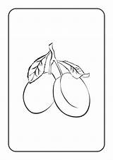 Plum Coloring Pages Printable sketch template