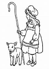 Lamb Little Mary Had Coloring Shepherds Pages She Color Clipart Beside Library Popular Cartoon sketch template