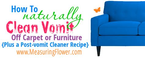 naturally clean vomit  carpet  furniture   post vomit