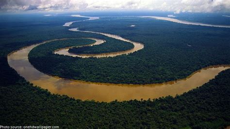interesting facts  amazon river  fun facts