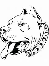 Coloring Pages Bull Dog Pitbull Pit Choose Board sketch template