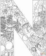Coloring Pages Printable sketch template