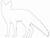 Outline Fox Outlines Zoo Animal Template Animals Printable Coloring sketch template