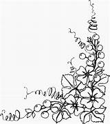 Ranken Blumenranken Blumen sketch template