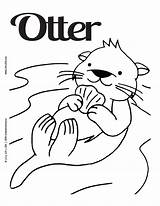 Otters Otter Coloring Pages Sea Printable Sheets Kids River Template Unto Do Colouring Baby Craft Animal Color Drawing Cartoon Book sketch template