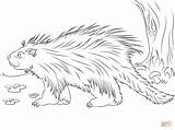 Porcupine Coloring Pages Cute Porcupines Printable Animals Drawing Color Wolf Colouring Designlooter Realist Drawings 19kb 1228 Dot Disimpan Dari sketch template