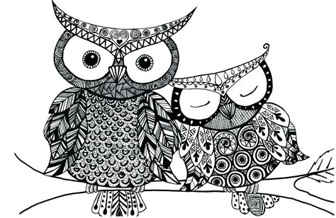 printable animal coloring pages  adults  coloring pages