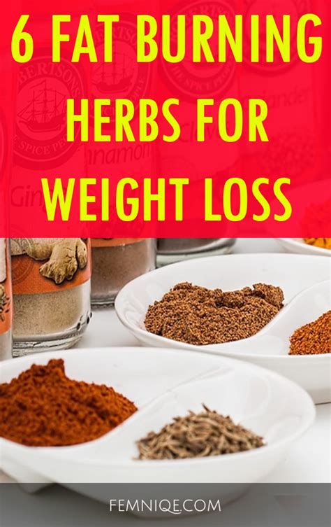 6 fat burning natural herbs for weight loss femniqe