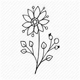 Flower Blossom Chamomile Webstockreview sketch template