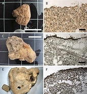 Afbeeldingsresultaten voor "pachastrella Monilifera". Grootte: 171 x 185. Bron: www.researchgate.net