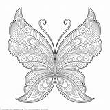 Element Postcards Henna Zentangle Schmetterling Coloringbook Getcoloringpages sketch template