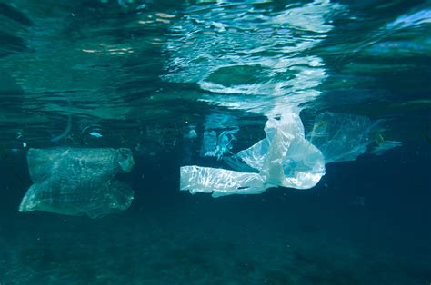 umweltverschmutzung ein meer von plastikmuell bild  geo