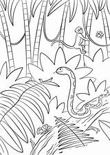 Selva Coloriage Supercoloring Escena Natureza Colorare Floresta Paisagem Animaux Foresta Kolorowanka Entrenamiento Tropicais Florestas Sheets Drukuj Amordepapeis sketch template