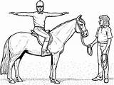 Ausmalbilder Pferde Reiterin Reiter Ausdrucken Pferd Ausmalbild Malvorlagen Ausmalen Longieren Turnier Kinderbilder Humanoid Springend Springen Mandalas sketch template