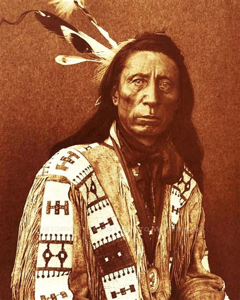 sioux indian chief red cloud vintage photo native american  west