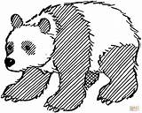 Panda Giant Coloring Pages Bear Outline Printable Drawing Adults Color Drawings Clipart Bears Gif sketch template