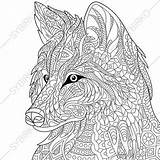 Coloring Wolf Zentangle Pages Adult Book Doodle Rhinoceros Rhino Wolves sketch template