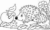 Igel Ausmalbild Malvorlagen Herbst Egel Kleurplaten Kleurplaat Malvorlage Dieren Arici Coloriage Ricci Colorat Ausdrucken Animaatjes Animierte Herisson Boucle Animal Coloriages sketch template