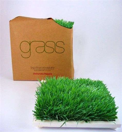 grass   box  design offers  square  spring delivered   peek  boo package