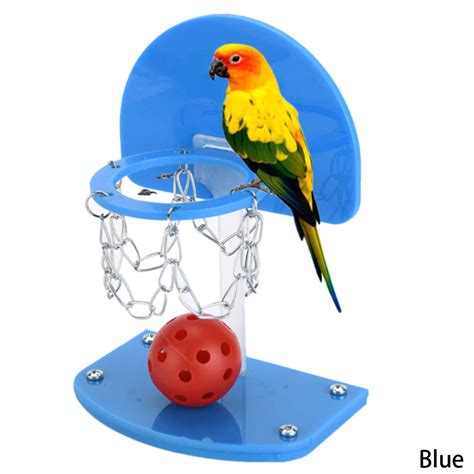 hot sale size   plastic mini basketball pet bird parrot toys toy  birds supplies