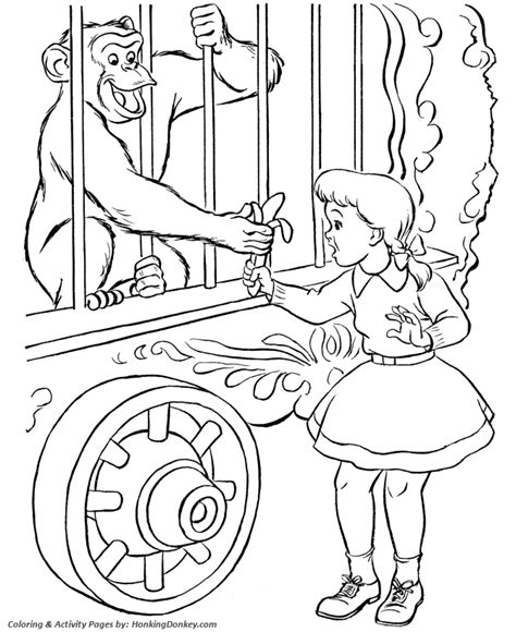 circus animals coloring pages learny kids