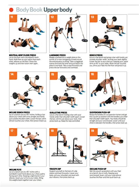 downloadable workout poster   top upper body exercises
