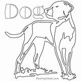 Coonhound sketch template