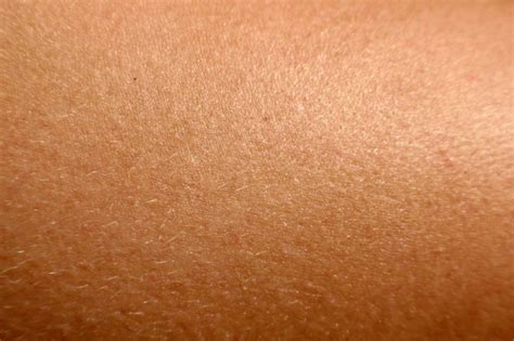 Researchers Stick Sensors To Skin Without Adhesive Binghamton News