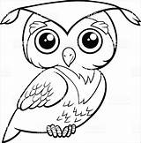 Graduation Coloringbay Barred Owls Perched sketch template