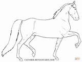 Morgan Coloring Pages Horse Drawing Horses Printable Color sketch template