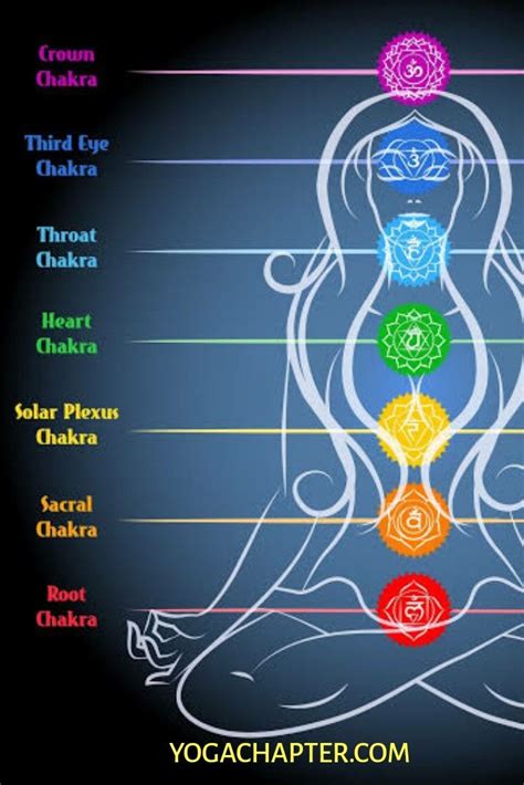 The Concept Of The 7 Chakras In Human Body And Their