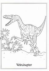 Velociraptor Stampare Savana sketch template